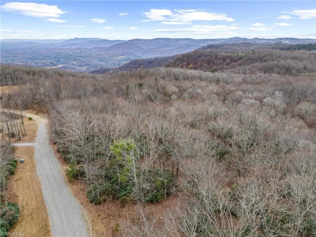 Single Family Residence at TBD W Pheasant Chase, Ararat VA 24053, Ararat, photo 9 of 21