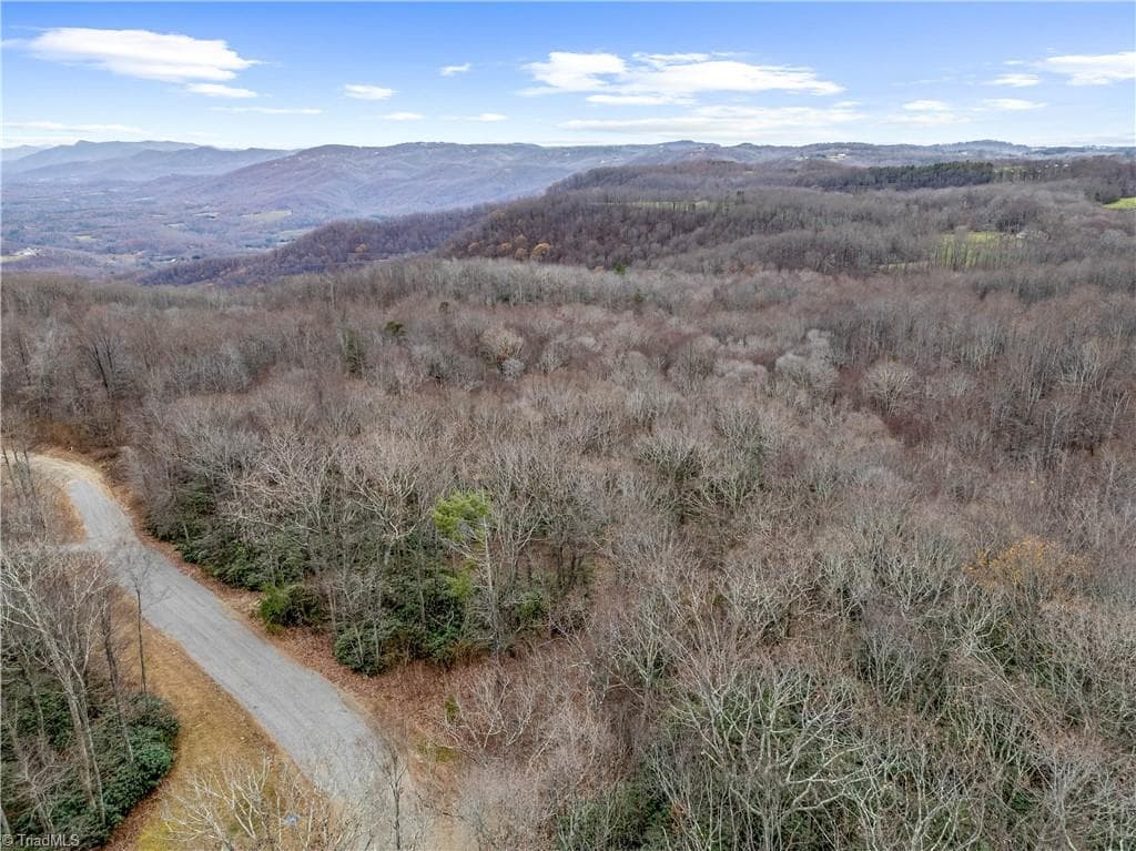 Single Family Residence at TBD W Pheasant Chase, Ararat VA 24053, Ararat, photo 10 of 21