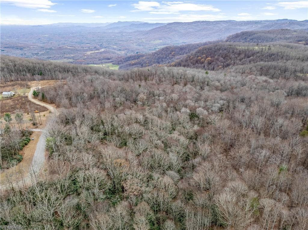 Single Family Residence at TBD W Pheasant Chase, Ararat VA 24053, Ararat, photo 11 of 21