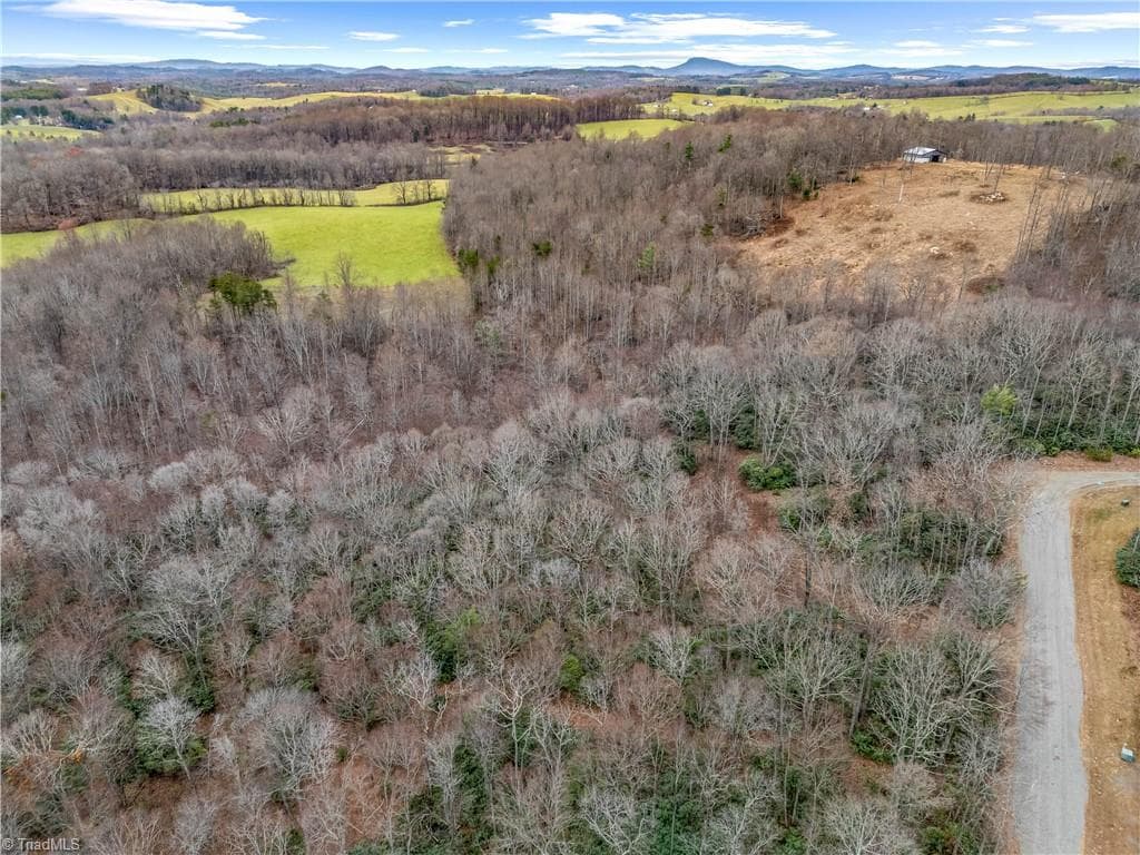 Single Family Residence at TBD W Pheasant Chase, Ararat VA 24053, Ararat, photo 19 of 21
