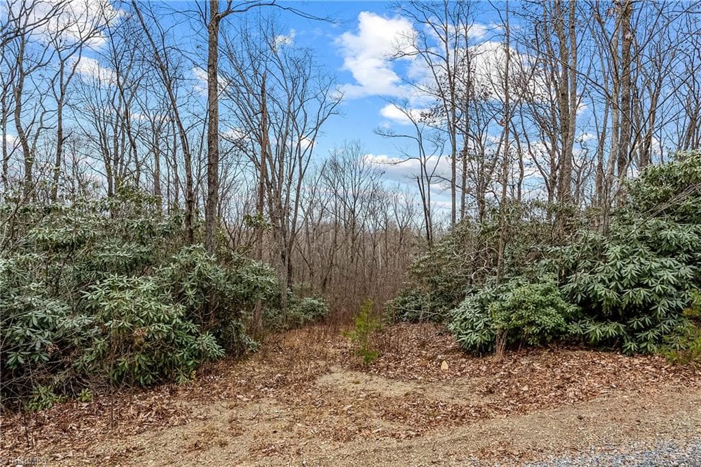 Single Family Residence at TBD W Pheasant Chase, Ararat VA 24053, Ararat, photo 4 of 21