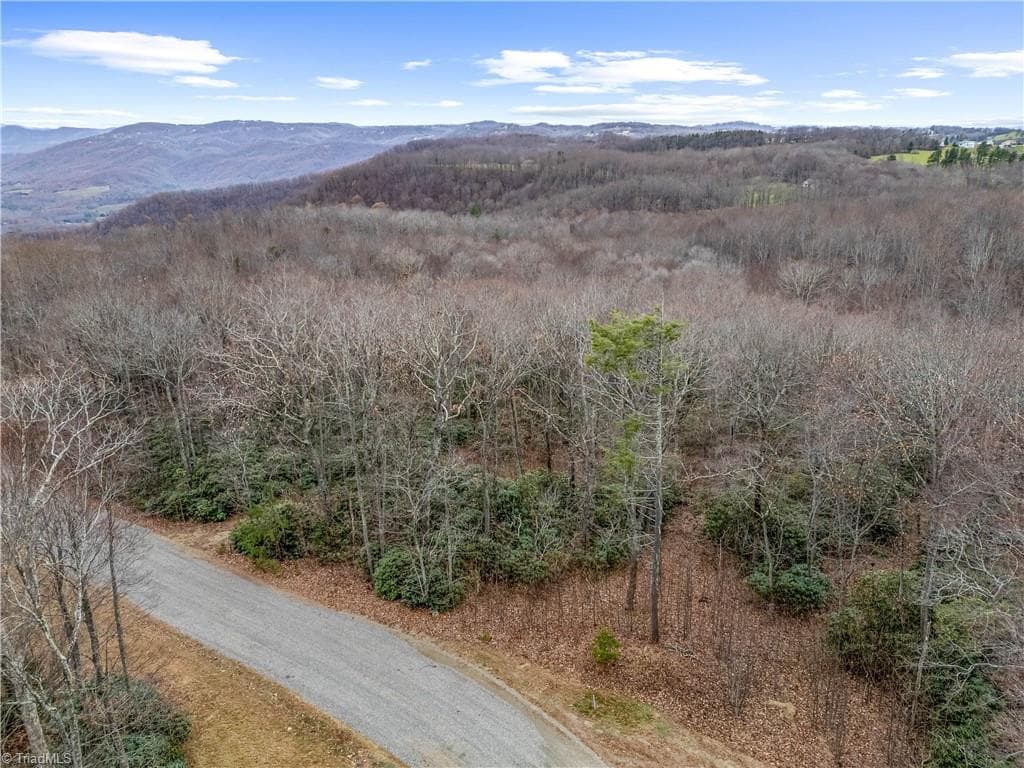 Single Family Residence at TBD W Pheasant Chase, Ararat VA 24053, Ararat, photo 8 of 21