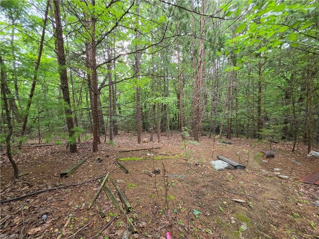 Stick/Site Built at 179 Caseys Crossing Trail, Lowgap NC 27024-9192, photo 14 of 35