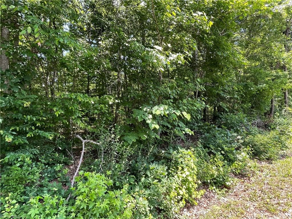 0000-2 Shady Lane, Burlington NC 27217