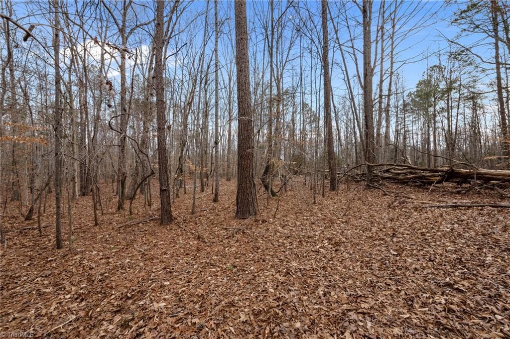 Unimproved Land at 10.75 ACRES NEALS STORE Road, Roxboro NC 27574, Roxboro, photo 6 of 18