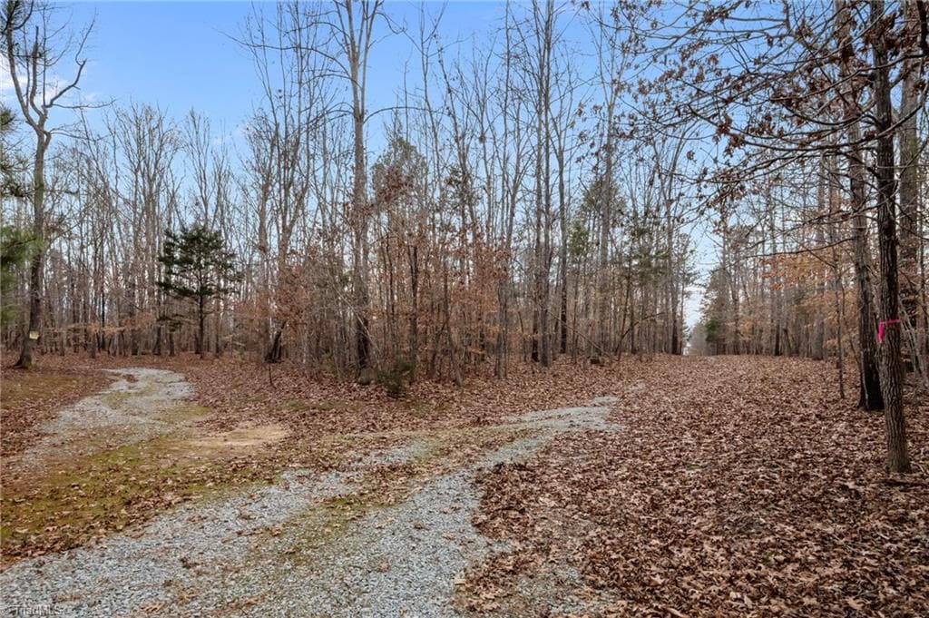 Unimproved Land at 10.75 ACRES NEALS STORE Road, Roxboro NC 27574, Roxboro, photo 7 of 18