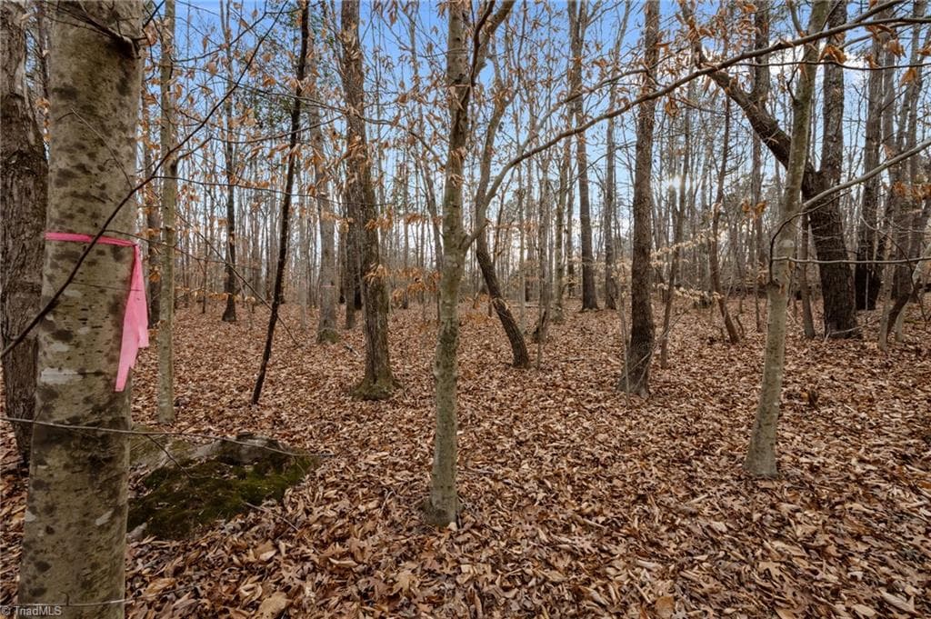 Unimproved Land at 10.75 ACRES NEALS STORE Road, Roxboro NC 27574, Roxboro, photo 9 of 18