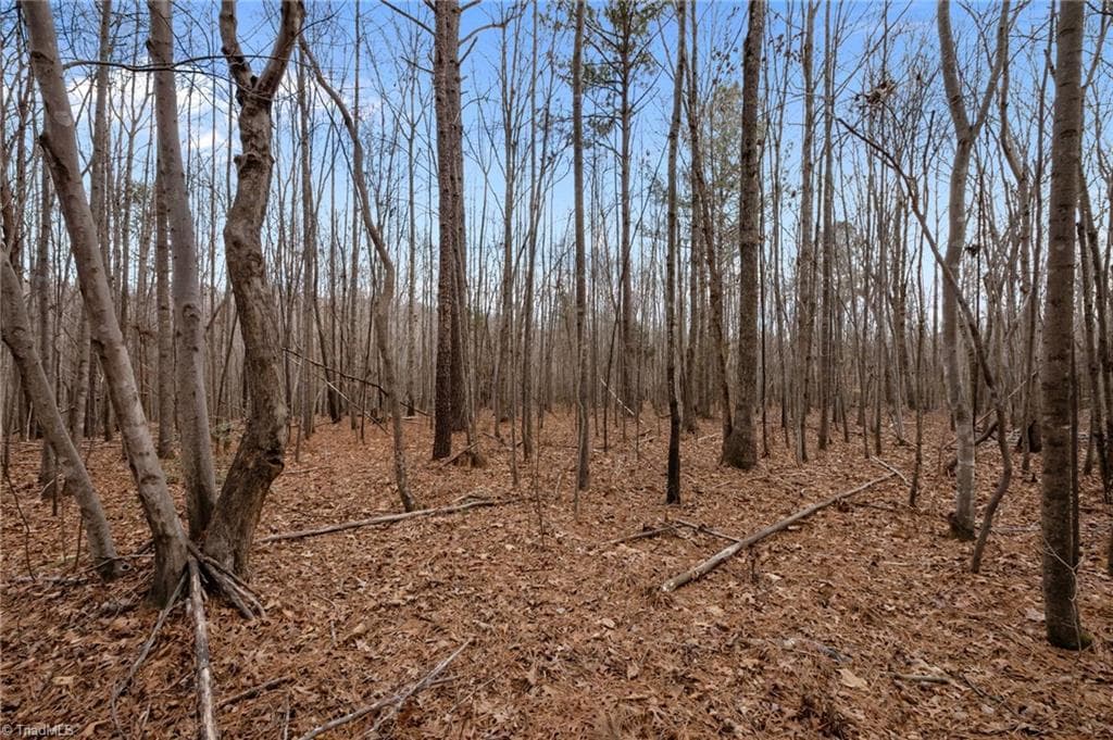Unimproved Land at 10.75 ACRES NEALS STORE Road, Roxboro NC 27574, Roxboro, photo 10 of 18