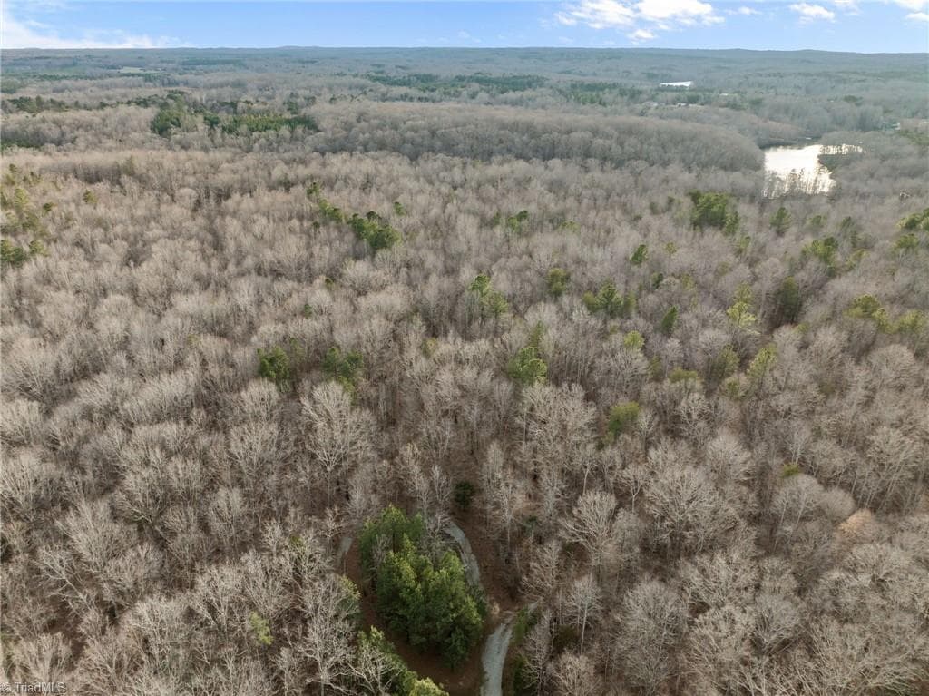 Unimproved Land at 10.75 ACRES NEALS STORE Road, Roxboro NC 27574, Roxboro, photo 14 of 18