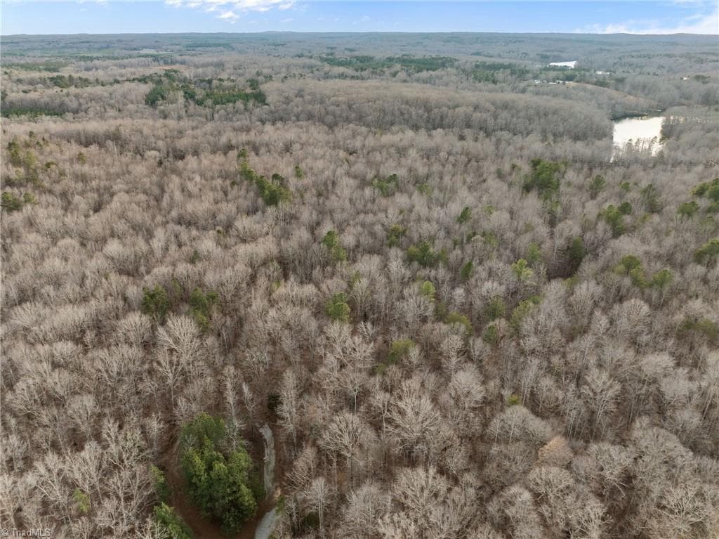Unimproved Land at 10.75 ACRES NEALS STORE Road, Roxboro NC 27574, Roxboro, photo 15 of 18