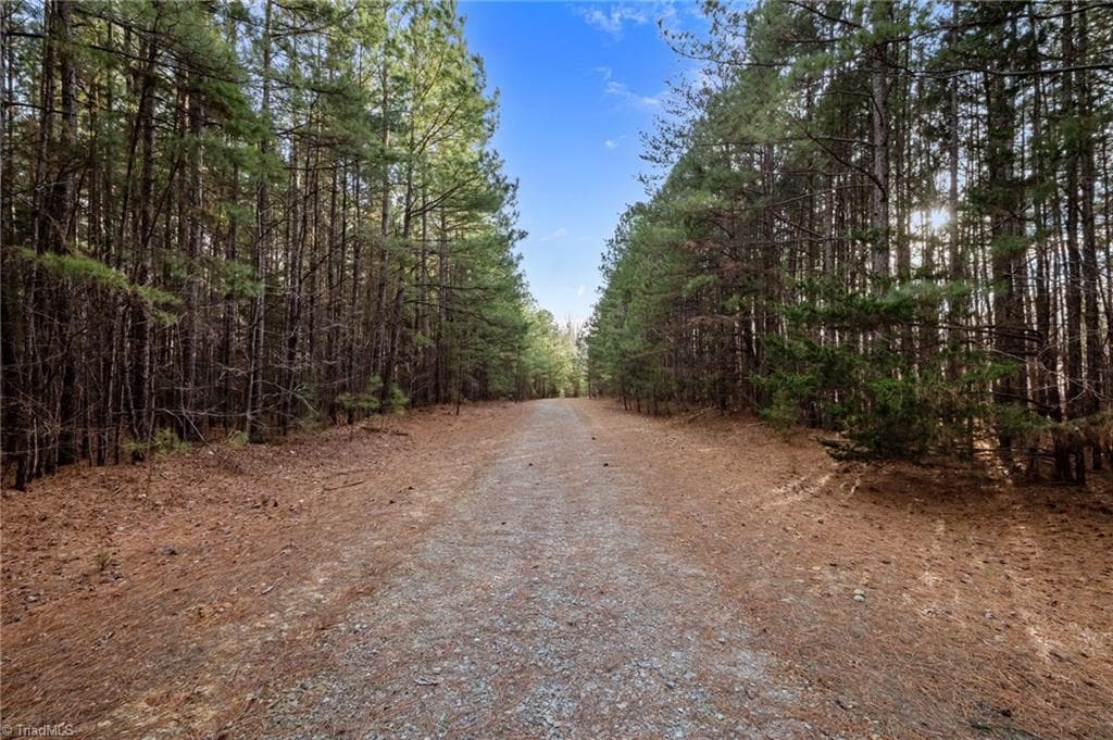Unimproved Land at 10.75 ACRES NEALS STORE Road, Roxboro NC 27574, Roxboro, photo 11 of 18