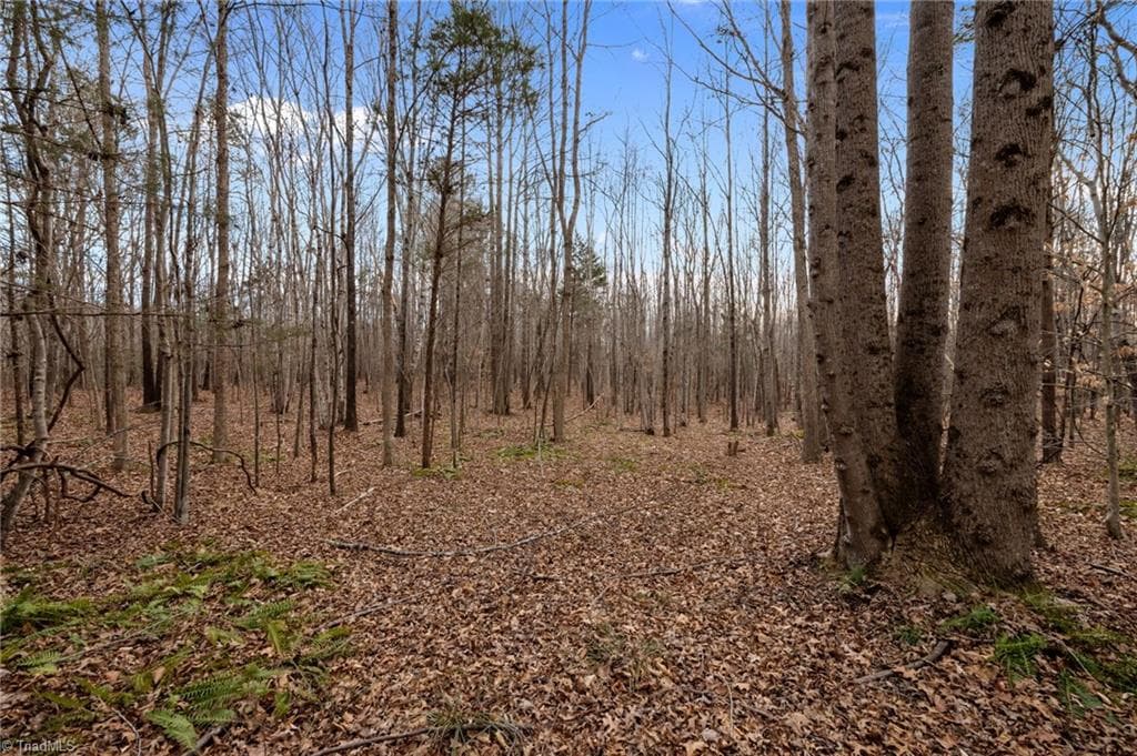 Unimproved Land at 10.75 ACRES NEALS STORE Road, Roxboro NC 27574, Roxboro, photo 8 of 18