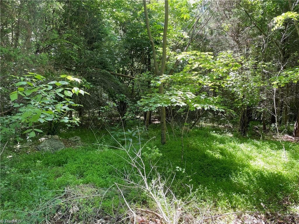 Remarks at 00 Thompson Road, Graham NC 27253, photo 3 of 10