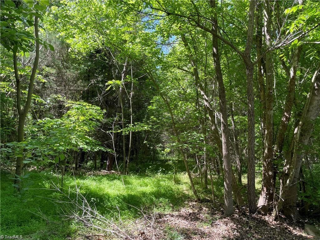 Remarks at 00 Thompson Road, Graham NC 27253, photo 4 of 10