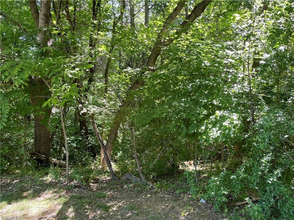 Remarks at 00 Thompson Road, Graham NC 27253, photo 8 of 10