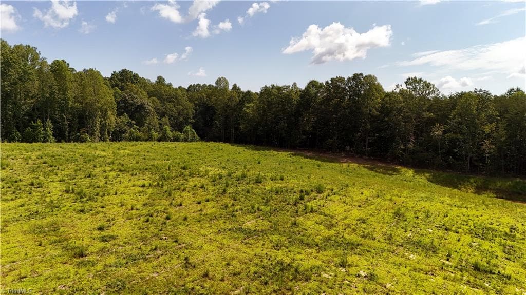 Agriculture at 0 Inman Road, Pilot Mountain NC 27041, photo 13 of 16