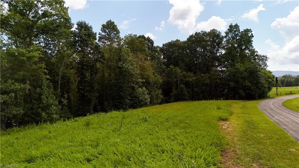 Agriculture at 0 Inman Road, Pilot Mountain NC 27041, photo 12 of 16