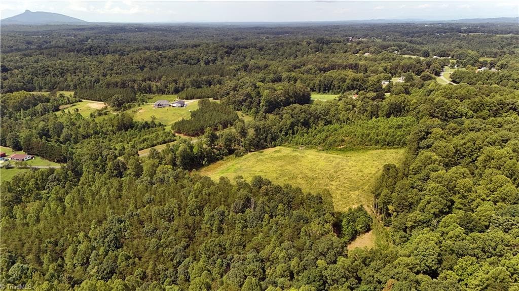 Agriculture at 0 Inman Road, Pilot Mountain NC 27041, photo 5 of 16