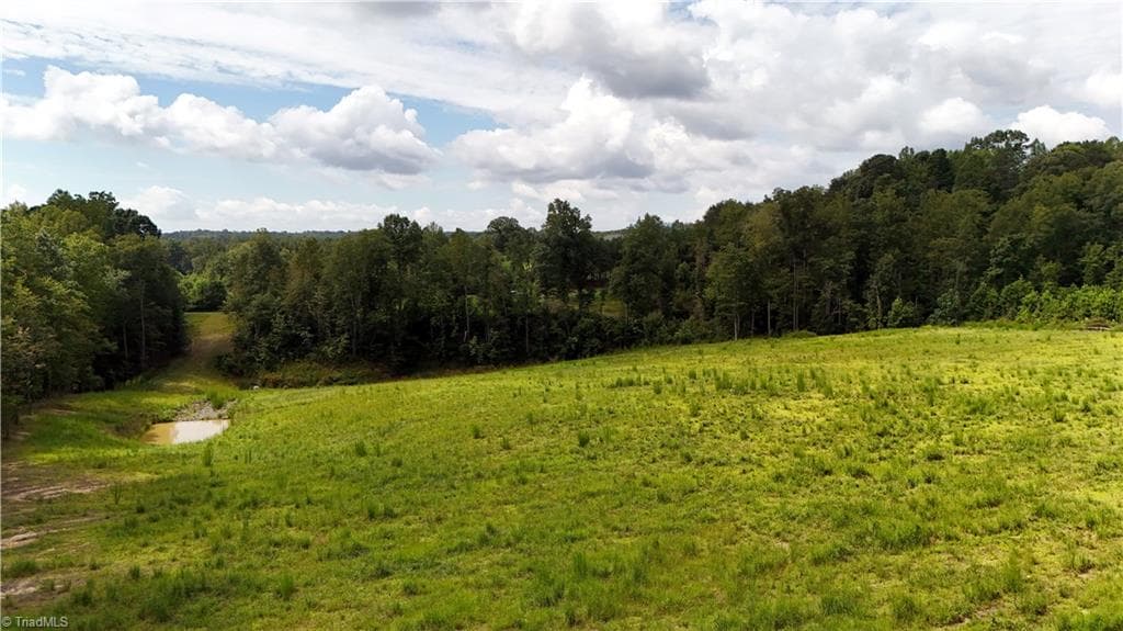 Agriculture at 0 Inman Road, Pilot Mountain NC 27041, photo 10 of 16