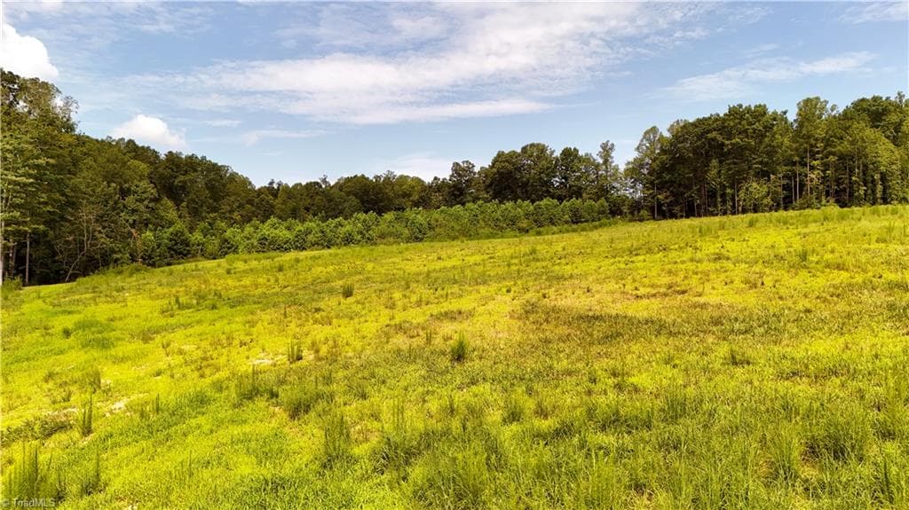 Agriculture at 0 Inman Road, Pilot Mountain NC 27041, photo 15 of 16