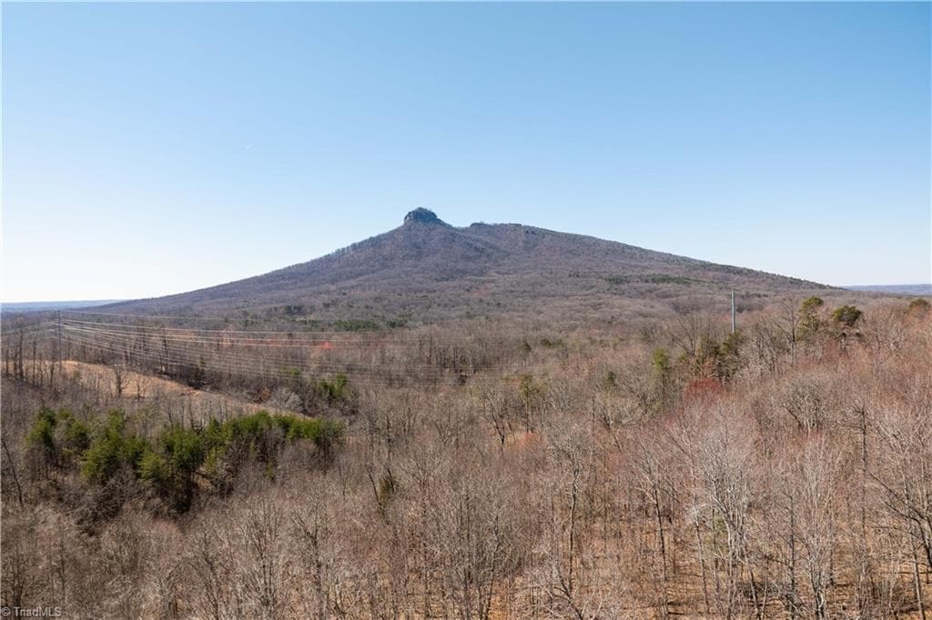 Single Family Residence at 222 Hummingbird Lane, Pilot Mountain NC 27041, photo 27 of 33
