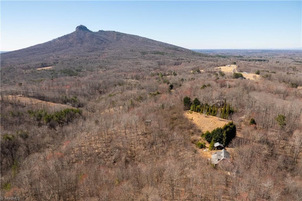 Single Family Residence at 222 Hummingbird Lane, Pilot Mountain NC 27041, photo 13 of 33