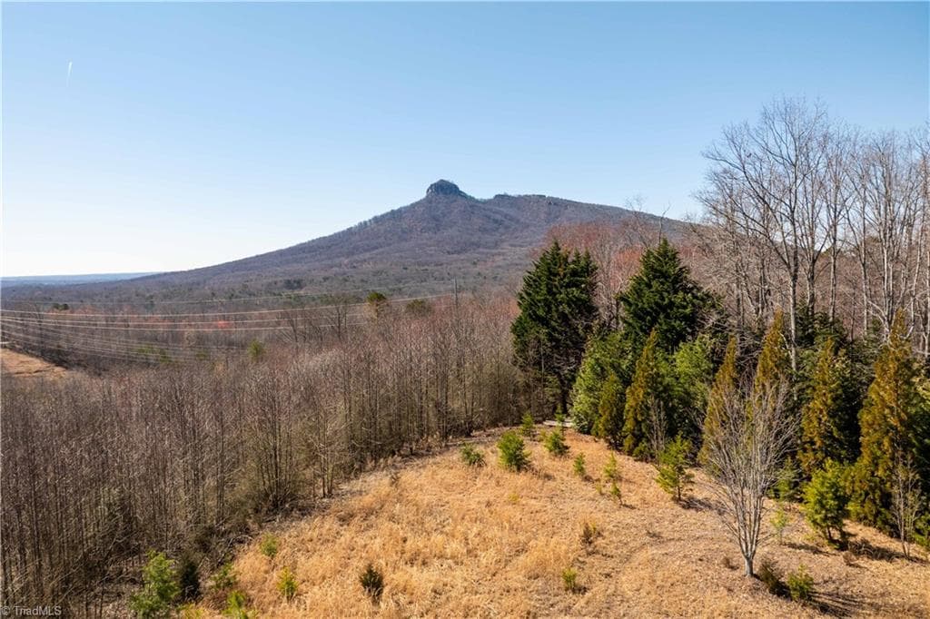 Single Family Residence at 222 Hummingbird Lane, Pilot Mountain NC 27041, photo 16 of 33