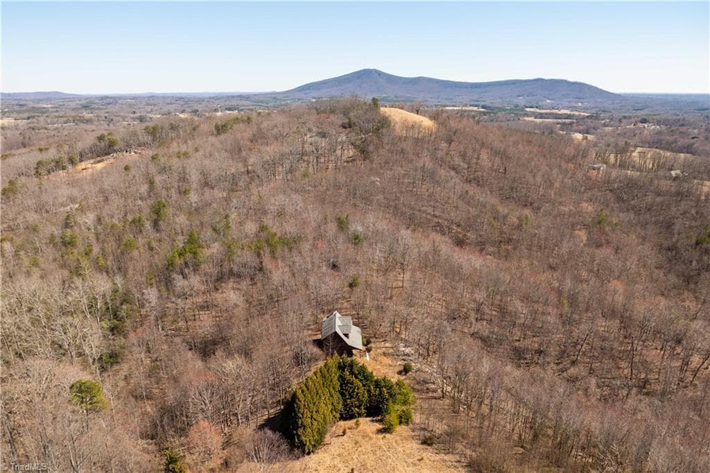 Single Family Residence at 222 Hummingbird Lane, Pilot Mountain NC 27041, photo 22 of 33