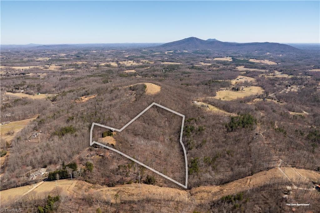Single Family Residence at 222 Hummingbird Lane, Pilot Mountain NC 27041, photo 7 of 33