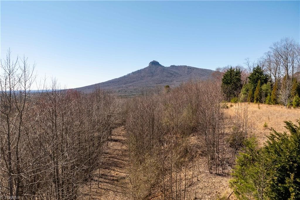 222 Hummingbird Lane, Pilot Mountain NC 27041