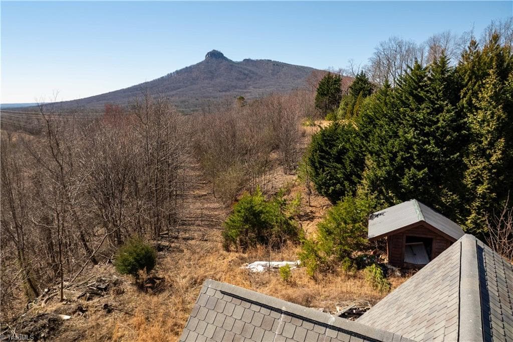 Single Family Residence at 222 Hummingbird Lane, Pilot Mountain NC 27041, photo 20 of 33