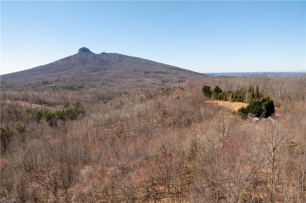 Single Family Residence at 222 Hummingbird Lane, Pilot Mountain NC 27041, photo 24 of 33