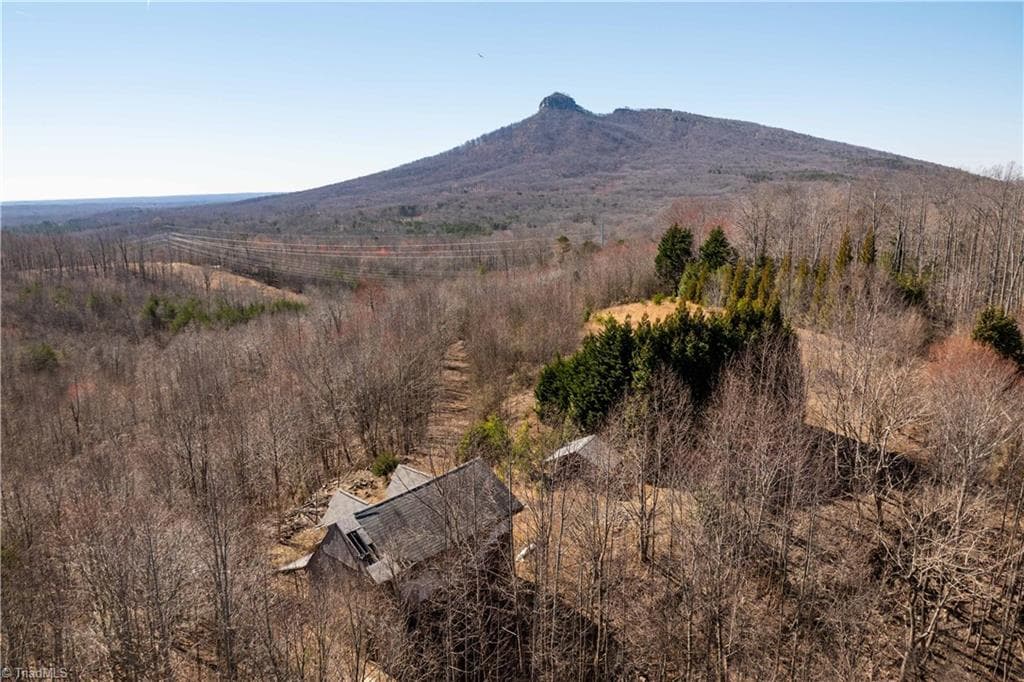 Single Family Residence at 222 Hummingbird Lane, Pilot Mountain NC 27041, photo 4 of 33
