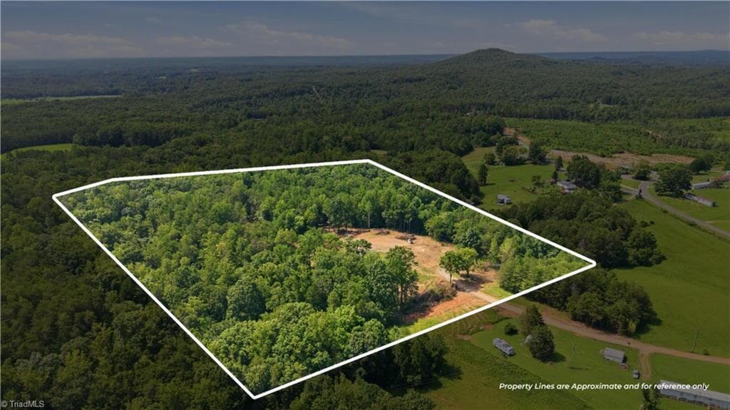 Single Family Residence at 180 Great View Lane, Pinnacle NC 27043, photo 6 of 19