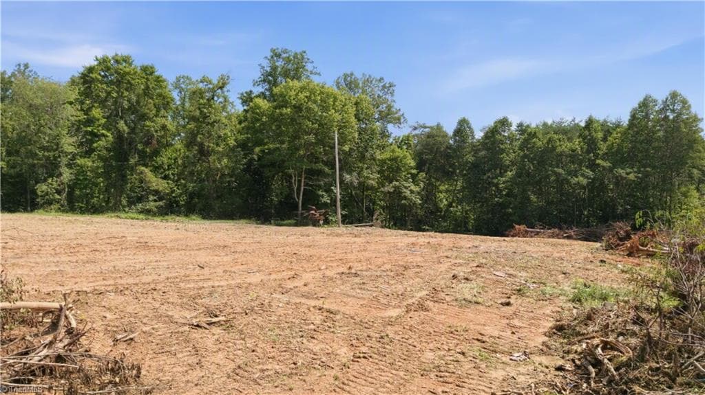 Single Family Residence at 180 Great View Lane, Pinnacle NC 27043, photo 16 of 19