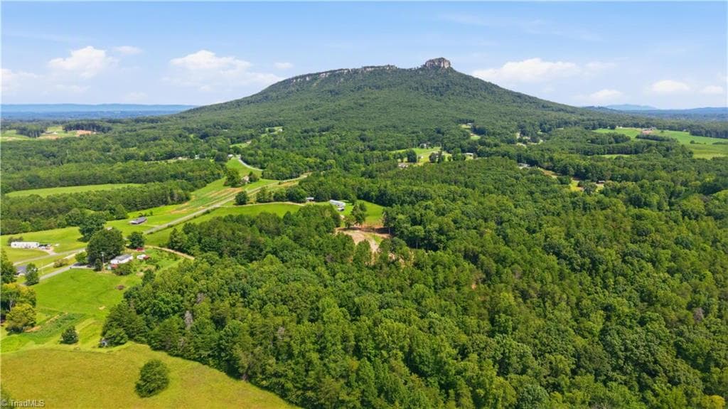Single Family Residence at 180 Great View Lane, Pinnacle NC 27043, photo 12 of 19