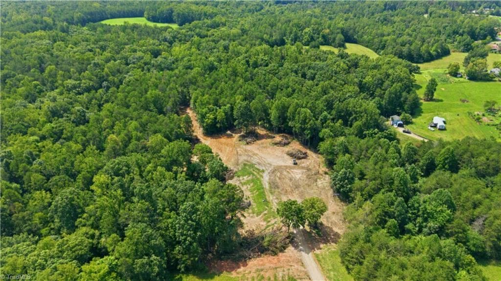 Single Family Residence at 180 Great View Lane, Pinnacle NC 27043, photo 7 of 19