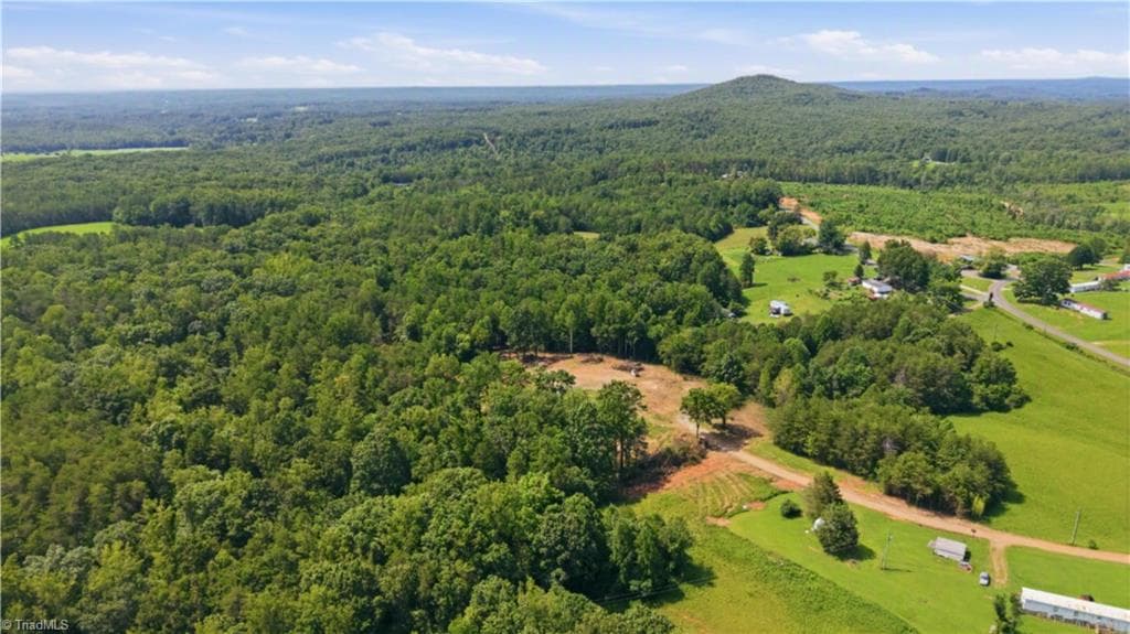 Single Family Residence at 180 Great View Lane, Pinnacle NC 27043, photo 10 of 19