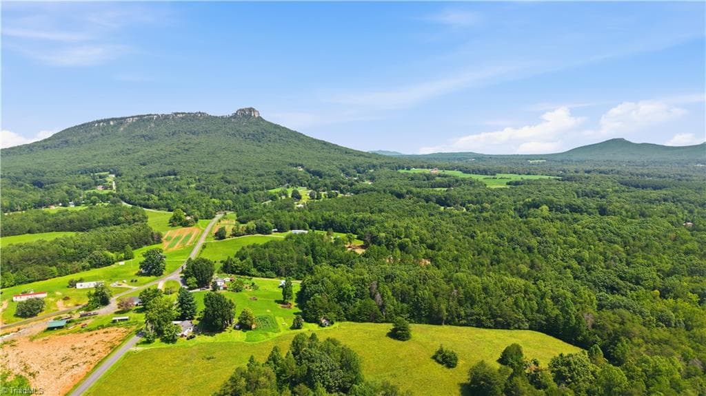 Single Family Residence at 180 Great View Lane, Pinnacle NC 27043, photo 18 of 19