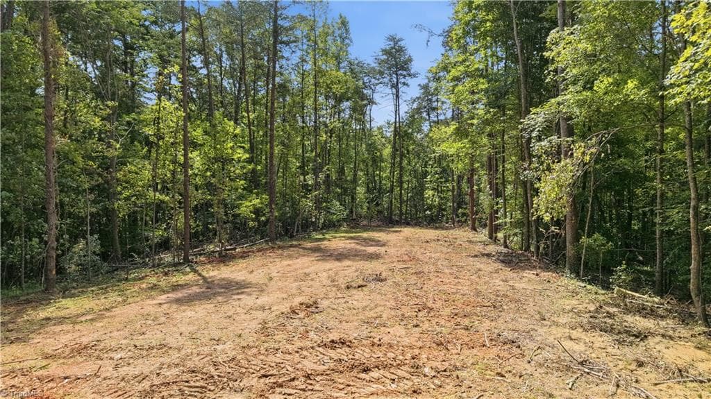 Single Family Residence at 180 Great View Lane, Pinnacle NC 27043, photo 15 of 19
