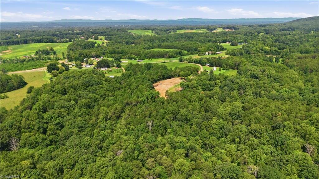 Single Family Residence at 180 Great View Lane, Pinnacle NC 27043, photo 11 of 19
