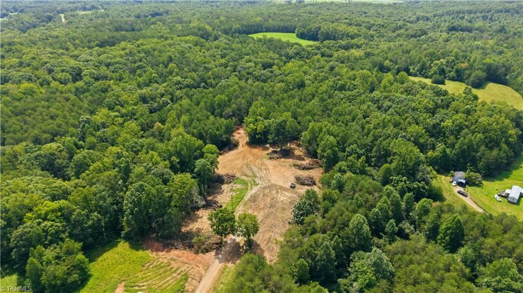 Single Family Residence at 180 Great View Lane, Pinnacle NC 27043, photo 8 of 19