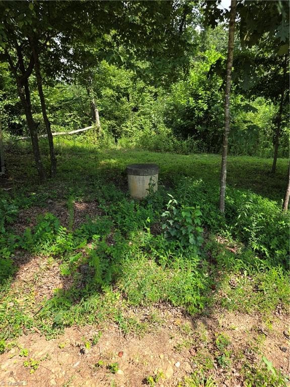 Investment at 609 John Scott Road, Pinnacle NC 27043, photo 21 of 23