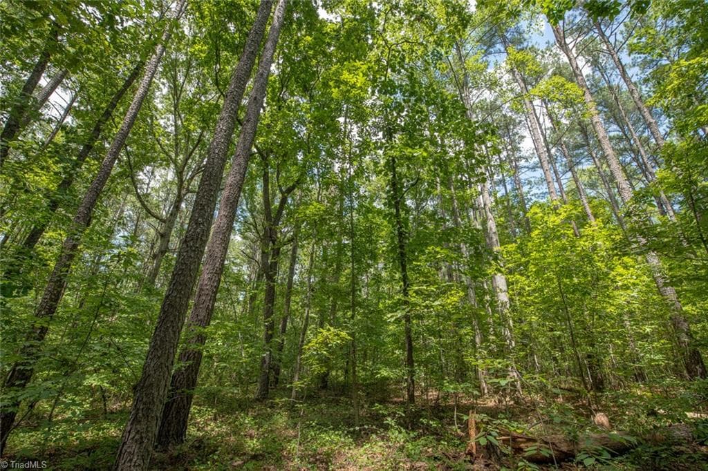 8942 Spearman Road, Reidsville NC 27320