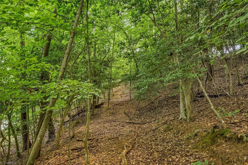 Unimproved Land at TBD Willowbrook Lane, Wilkesboro NC 28659, photo 17 of 21