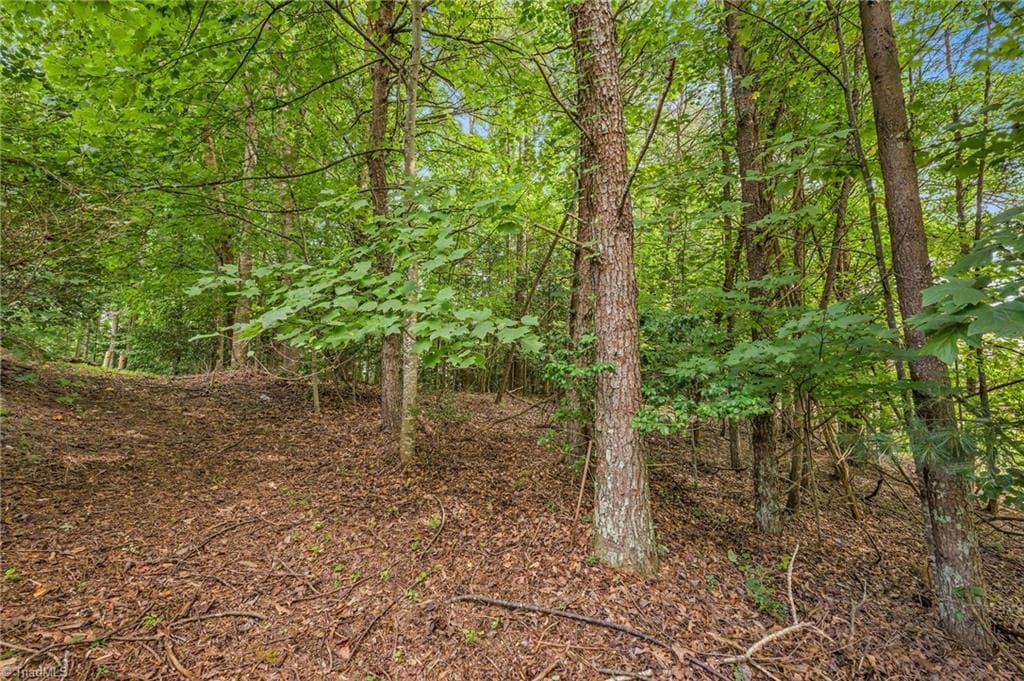 Unimproved Land at TBD Willowbrook Lane, Wilkesboro NC 28659, photo 16 of 21