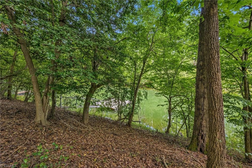 Unimproved Land at TBD Willowbrook Lane, Wilkesboro NC 28659, photo 20 of 21