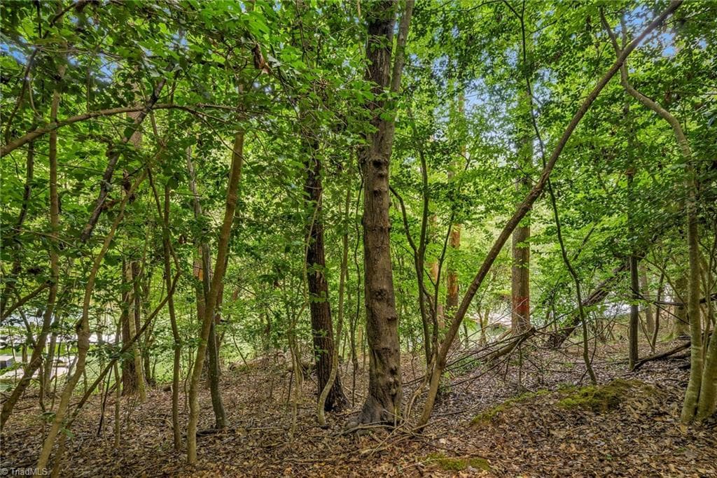 Unimproved Land at TBD Willowbrook Lane, Wilkesboro NC 28659, photo 18 of 21