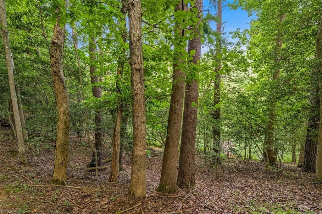 Unimproved Land at TBD Willowbrook Lane, Wilkesboro NC 28659, photo 19 of 21