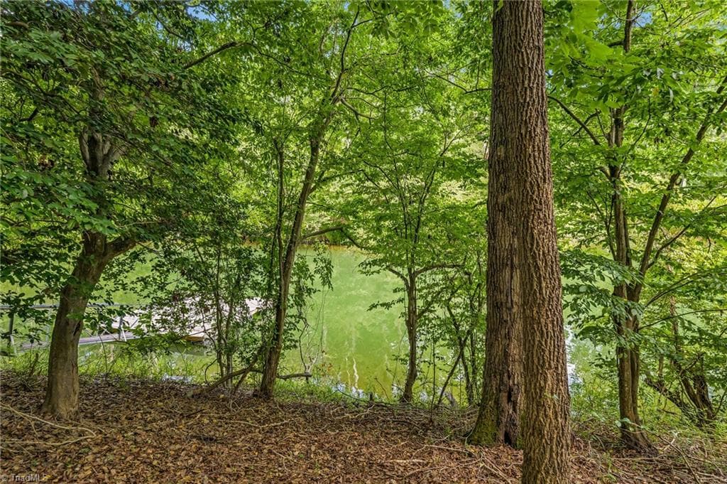 Unimproved Land at TBD Willowbrook Lane, Wilkesboro NC 28659, photo 21 of 21